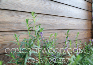 thanh-op-tuong-vay-ca-concretewood-1